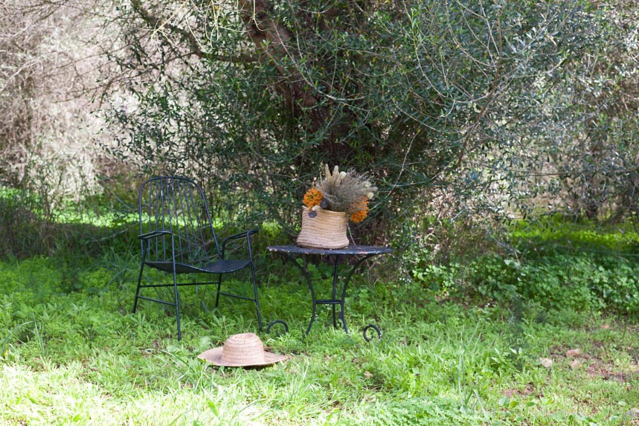 Finca Son Sureda Agroturismo ماناكور المظهر الخارجي الصورة